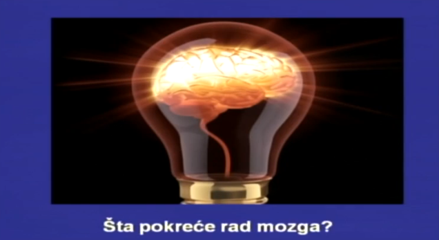Najbolja hrana za mozak je ona koja je prirodna, raznovrsna i bogata hranljivim materijama. Kombinacija zdrave ishrane sa dobrim snom i fizičkom aktivnošću daje najbolje rezultate za mentalno zdravlje i oštrinu uma.