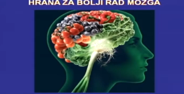 Način na koji živimo svakodnevno ostavlja dubok trag na našem mozgu – ne samo na raspoloženje, već i na pamćenje, koncentraciju i ukupno mentalno zdravlje. Mozak nije statičan organ; on se stalno menja i prilagođava, a upravo životni stil igra ključnu ulogu u tom procesu.